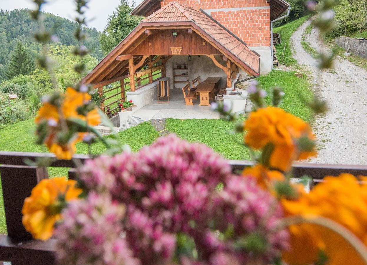 Farm Stay Zagar Mozirje Exteriör bild