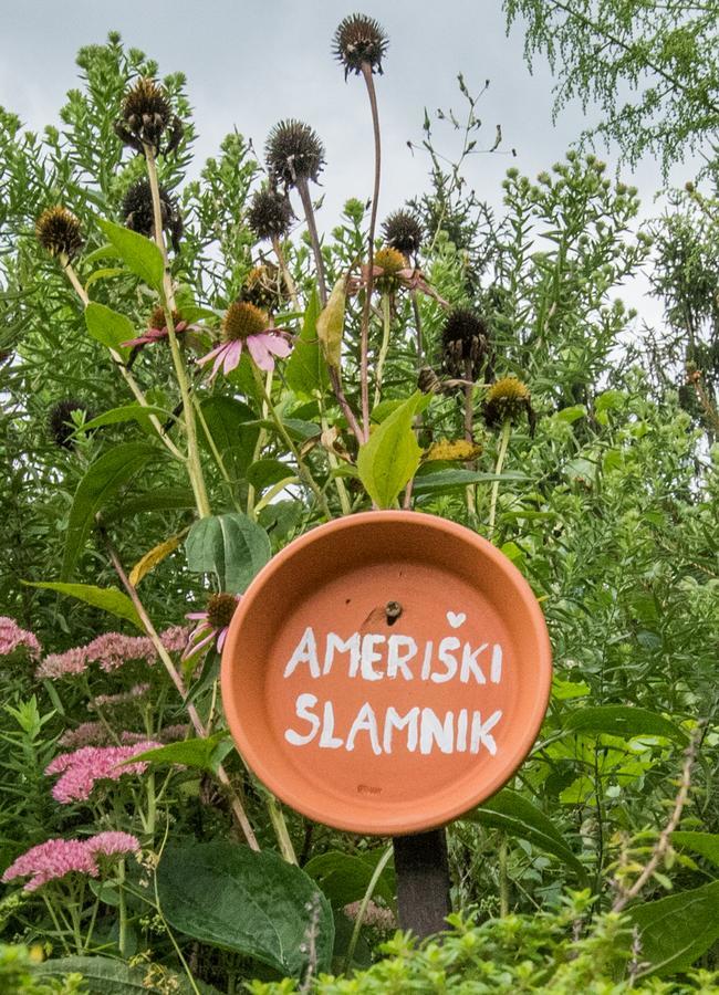 Farm Stay Zagar Mozirje Exteriör bild